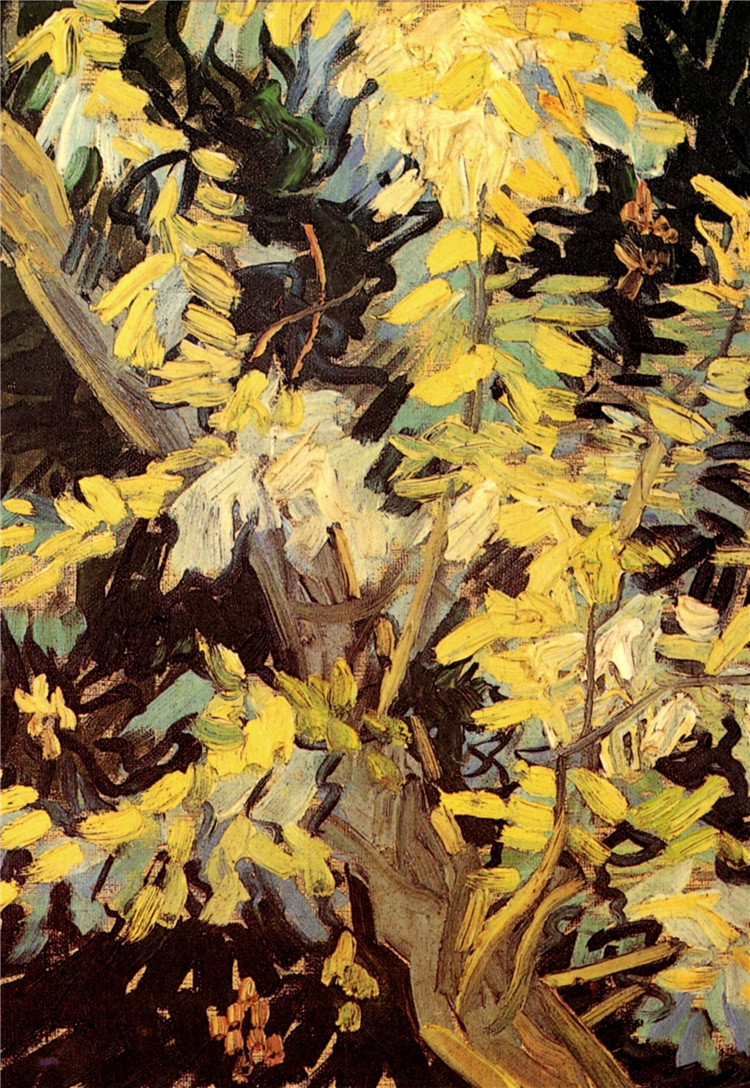 Blossoming Acacia Branches Van Gogh Oil Painting